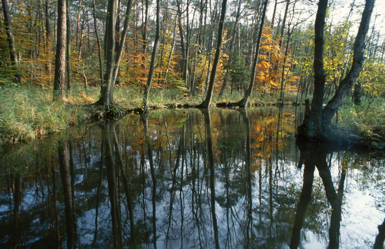 Kanal zu kleinen BTS