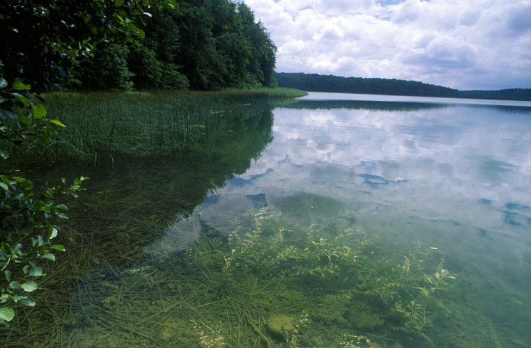 Wasserdurchsicht01