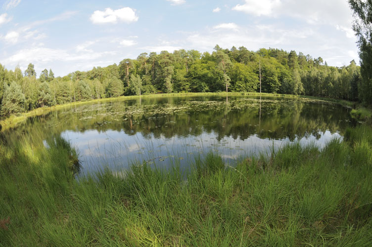 Teufelssee Fischeye